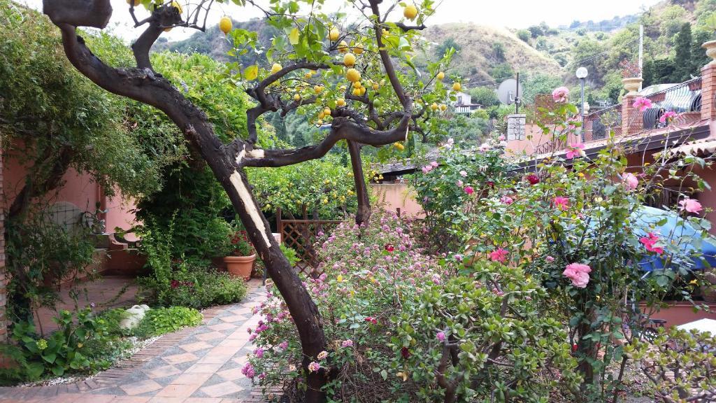 טאורמינה Villa Carmelas מראה חיצוני תמונה