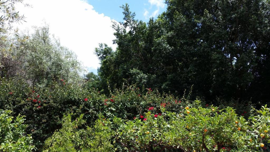 טאורמינה Villa Carmelas מראה חיצוני תמונה
